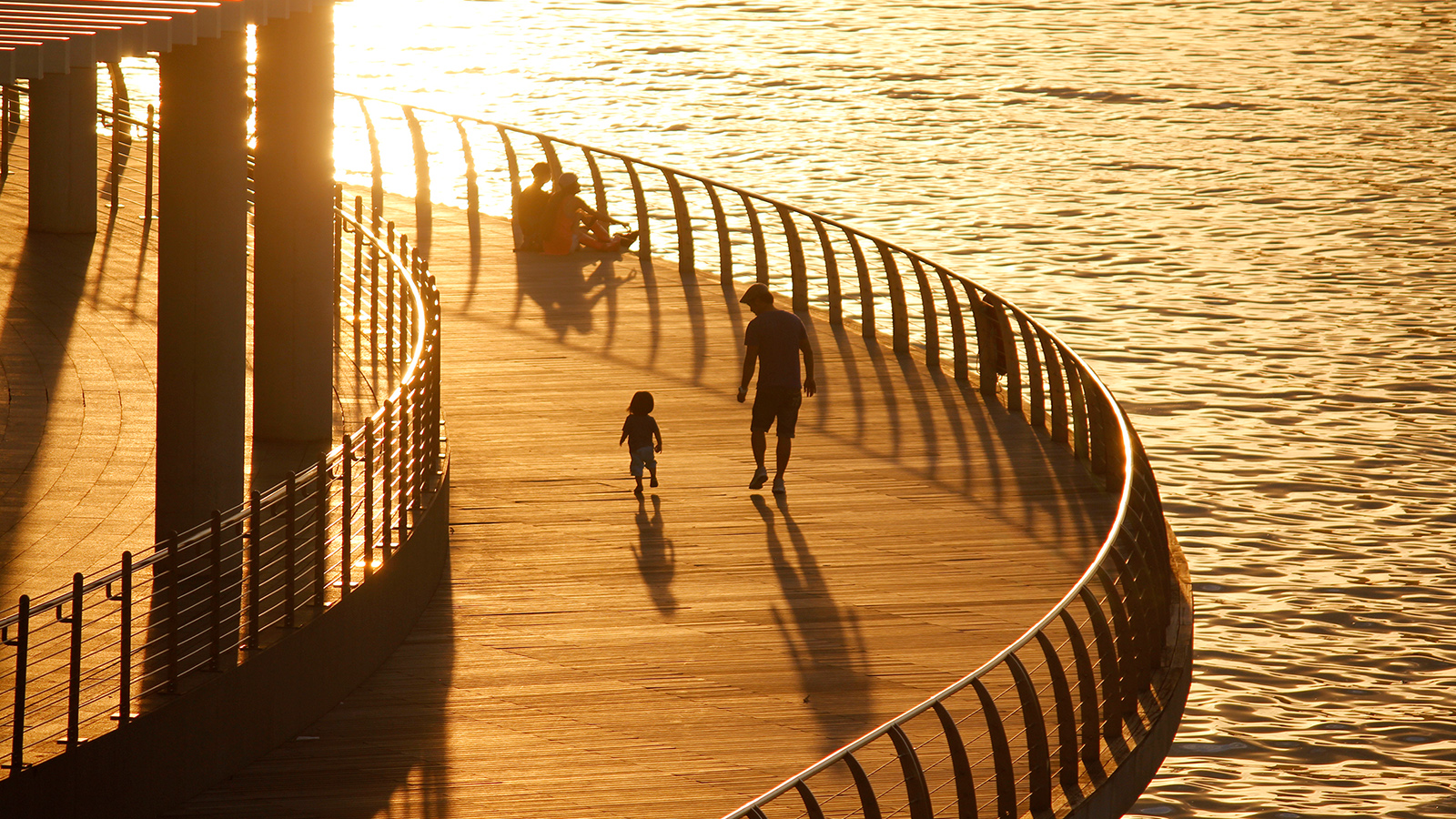 Digital Photography for Absolute Beginners I & II