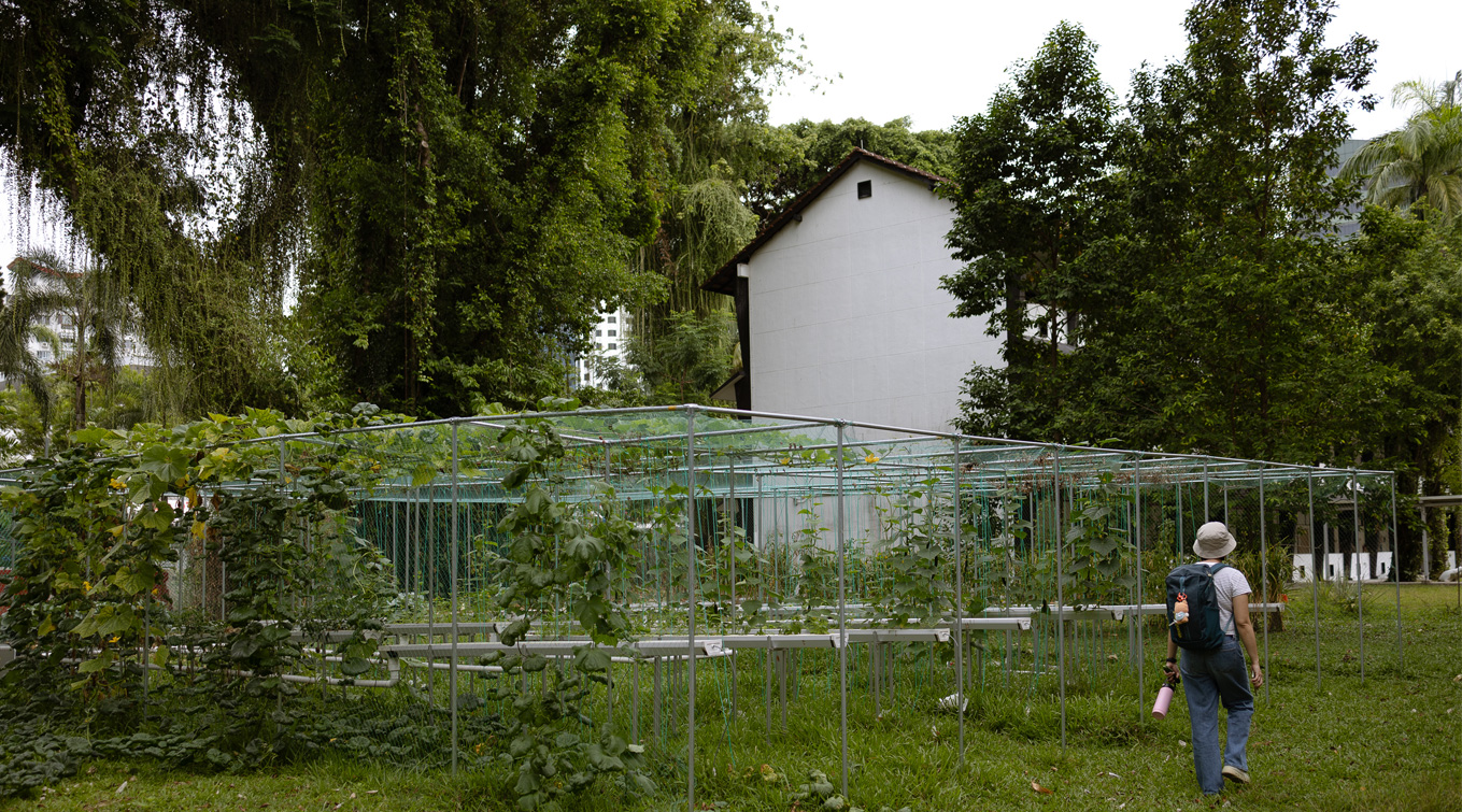 Charles’ bionic NFT hydroponics system built at LASALLE’s Winstedt Campus.