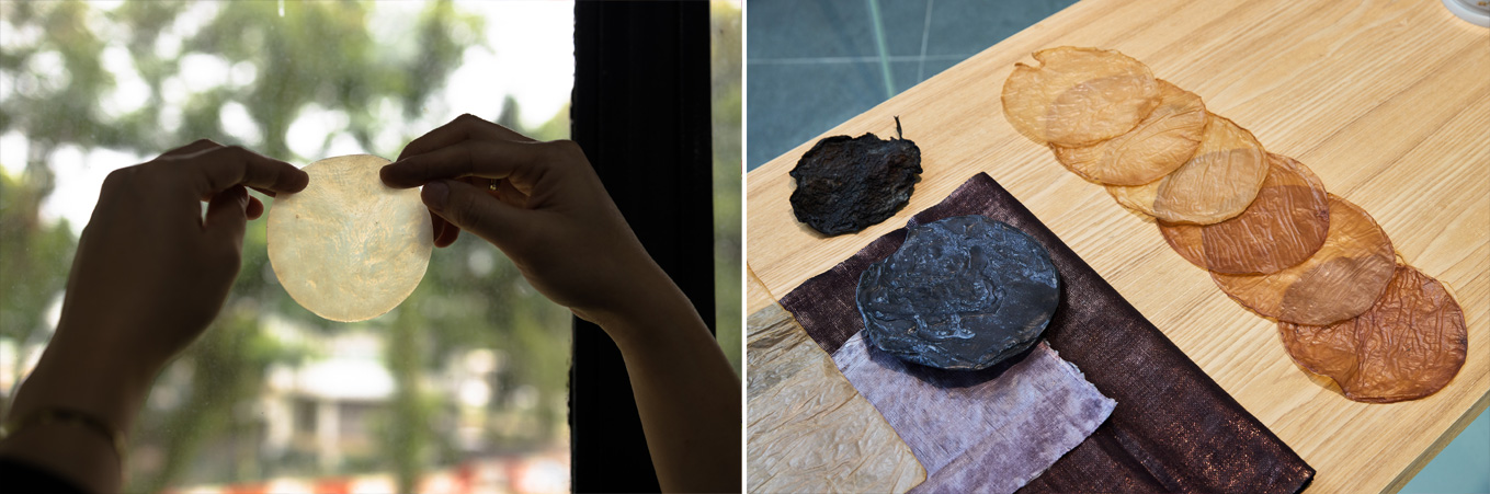 (Left) Pauline holding up her SCOBY sample to the light. (Right) Variations of SCOBY on display at nospacefortomorrow: MA Fine Arts and MA Arts and Ecology Graduation Showcase 2025.