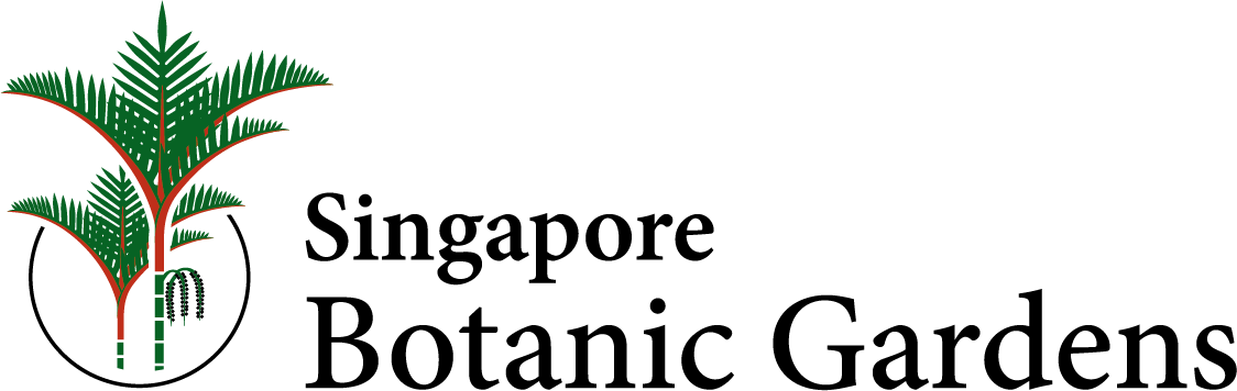 SBG_Logo_Colour-1---Saskia-Alifya