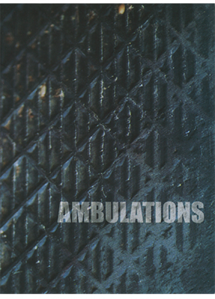 AMBULATIONS: AN EXHIBITION OF CONTEMPORARY WORKS BASED ON THE NOTION OF WALKING Thumbnail