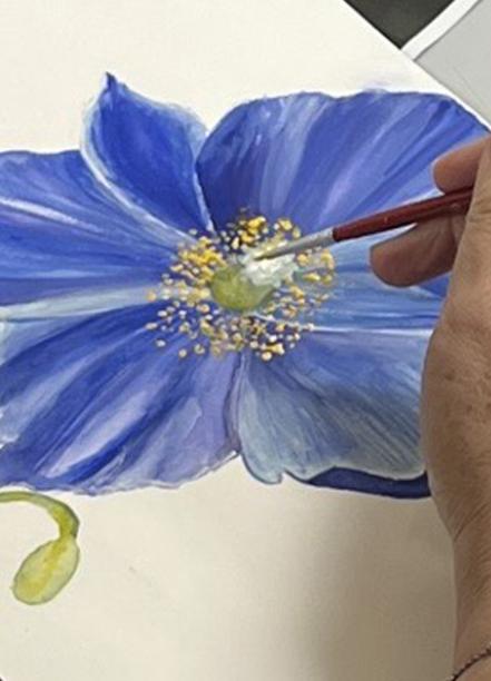Botanical drawing
