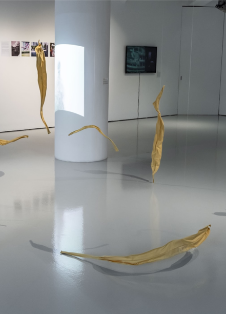 tropical_lab_19