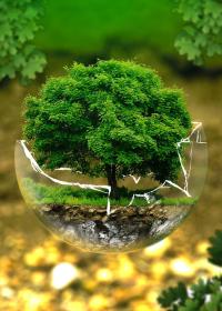 ma-arts-ecology-environmental-protection-326923_1280
