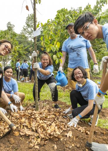 Tree-planting_Cover