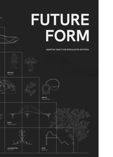 future-form-resize