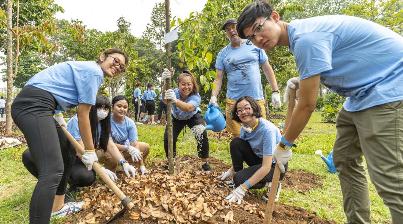 Tree-planting_Cover