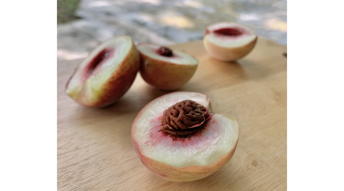 A close-up of cut peaches