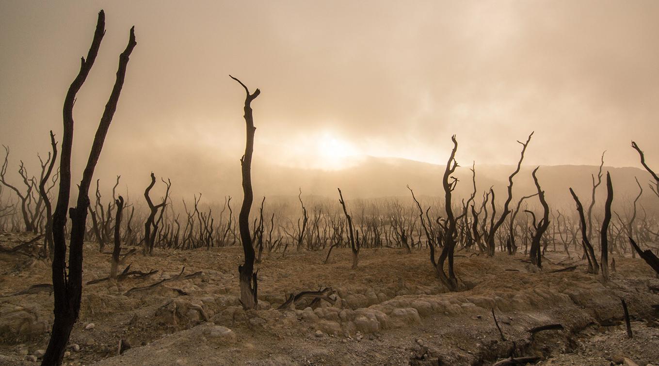 A wasteland