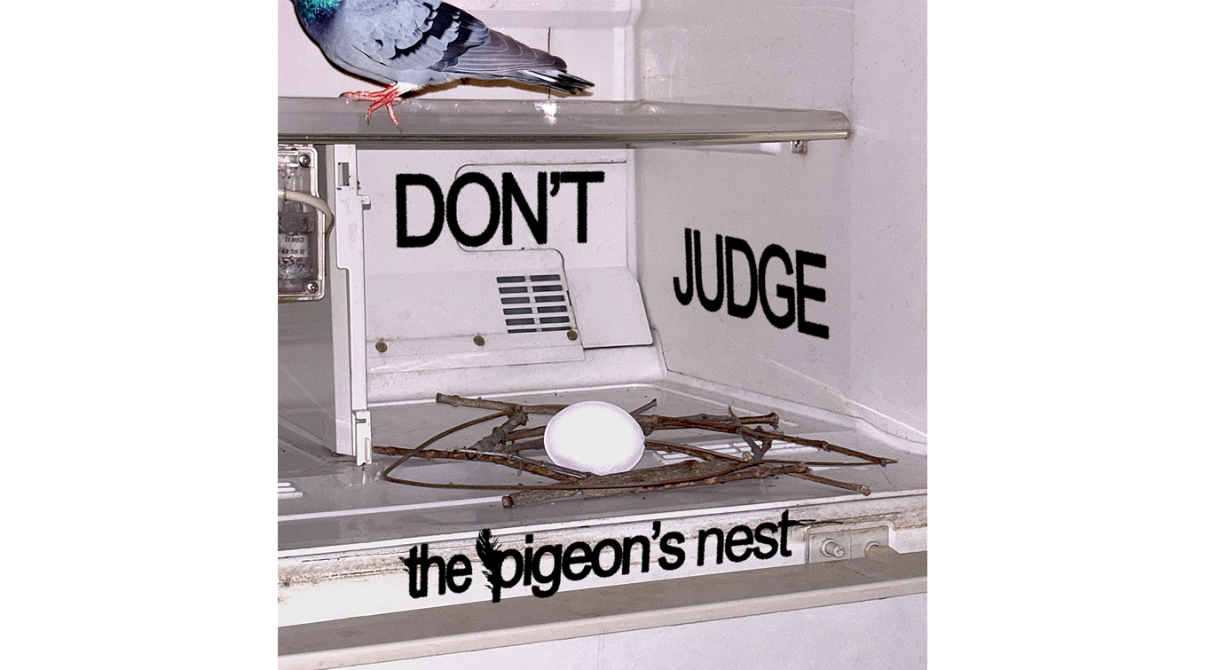 Don’t Judge The Pigeon’s Nest