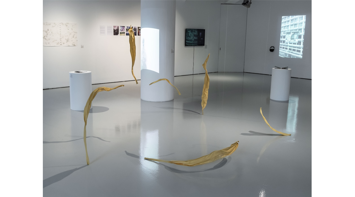 tropical_lab_19