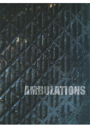 AMBULATIONS: AN EXHIBITION OF CONTEMPORARY WORKS BASED ON THE NOTION OF WALKING