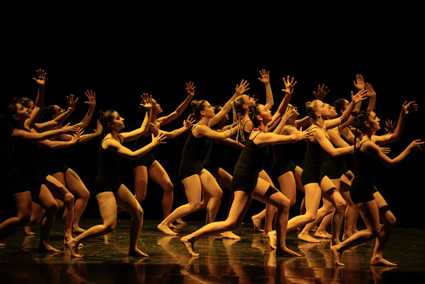 Biennale Danza