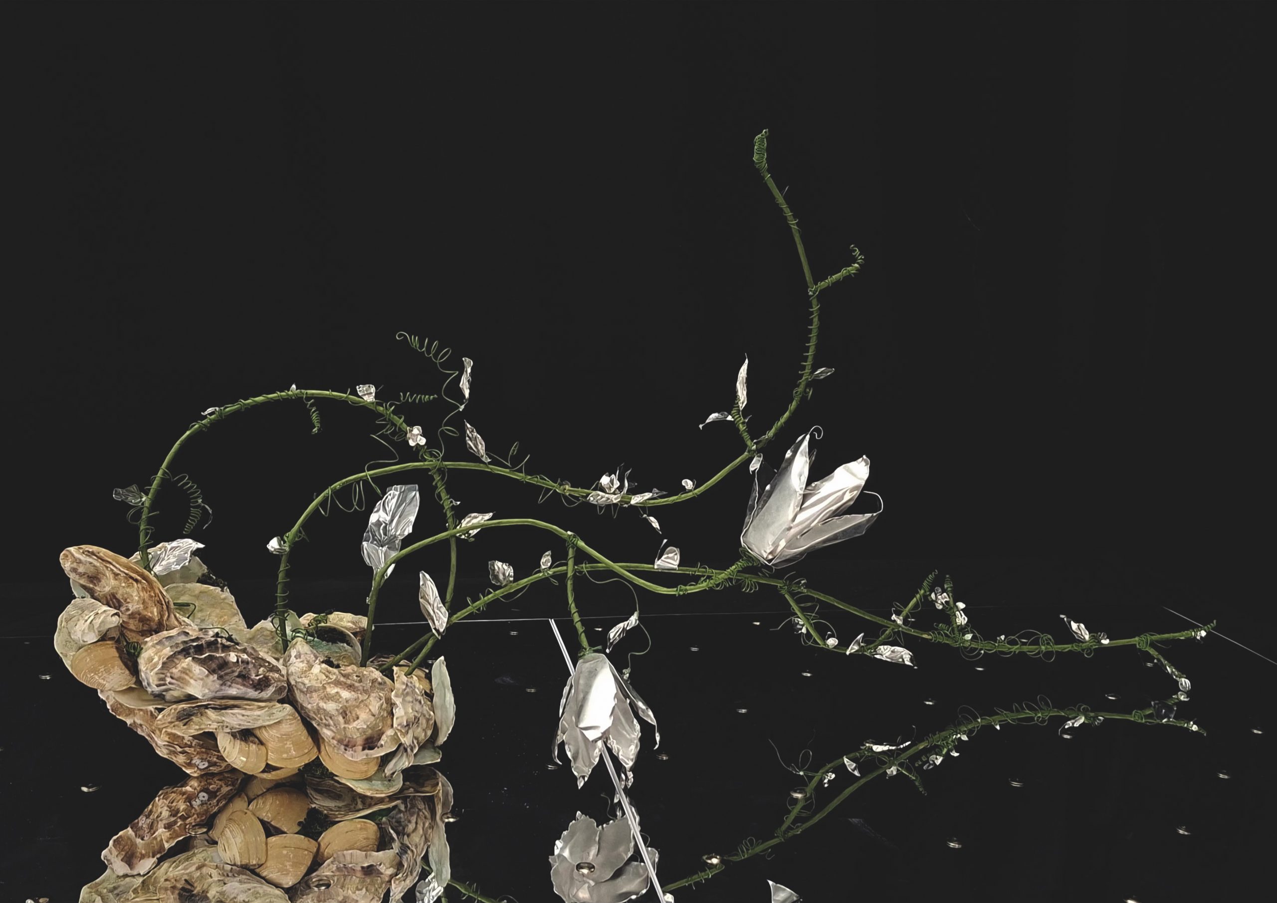 Curious-Constructions-Image